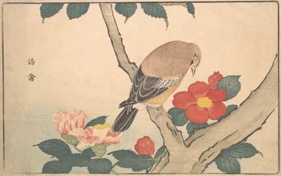 Camélias avec un oiseau, 1789 - Kitao Masayoshi