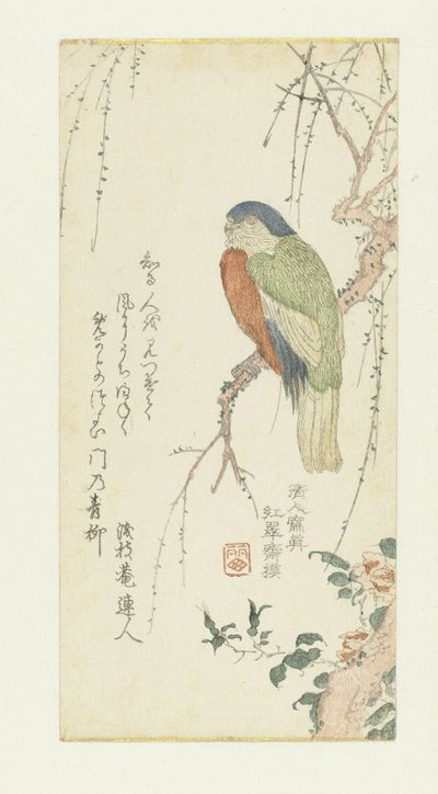 Perroquet dans un prunier - Kitao Shigemasa