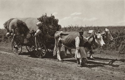 Roumanie : Marchand de poterie - Kurt Hielscher