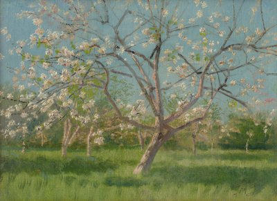 Arbres fruitiers en fleurs, 1900-10 - Laszlo Mednyanszky