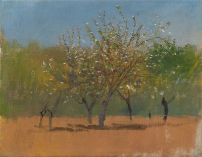 Arbres en fleurs, c.1880-90 - Laszlo Mednyanszky