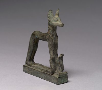 Chacal, 664-30 av. J.-C. - Late Period Egyptian