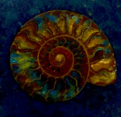 Ammonite vert doré - Lee Campbell