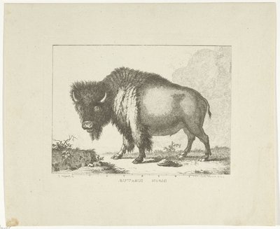 Bison - Leendert Brasser