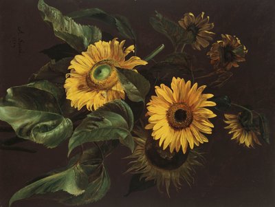 Tournesols, 1839 - Louis Apollinaire Sicard