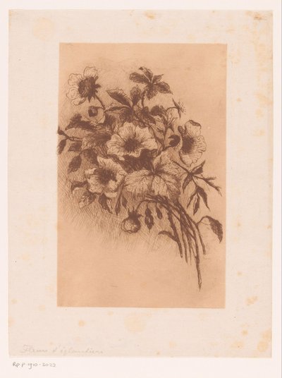 Fleurs - Louise Elsen (attributed to)