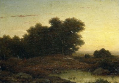 Vue dans les bois au coucher du soleil - Louwrens Hanedoes