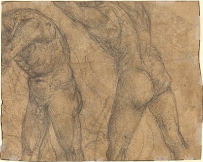 Deux Figures Nues (verso) - Luca Signorelli