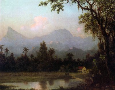 Rio de Janeiro, Brésil, c.1865 - Martin Johnson Heade