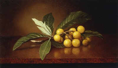 Prunes tropicales - Martin Johnson Heade