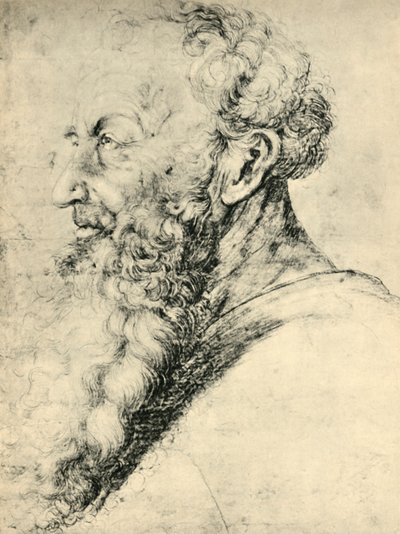 Portrait de Guido Guersi, 1513-1515, 1943 - Matthias Gruenewald