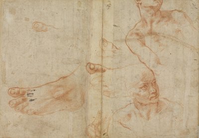 Études de figures pour le plafond de la chapelle Sixtine - Michelangelo Buonarroti