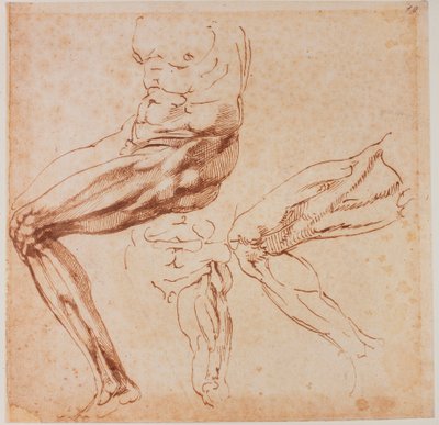 Études de jambes - Michelangelo Buonarroti