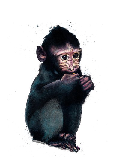 Le bébé macaque sur blanc, 2020 - Mike Davis