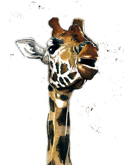 La Girafe sur Blanc - Mike Davis