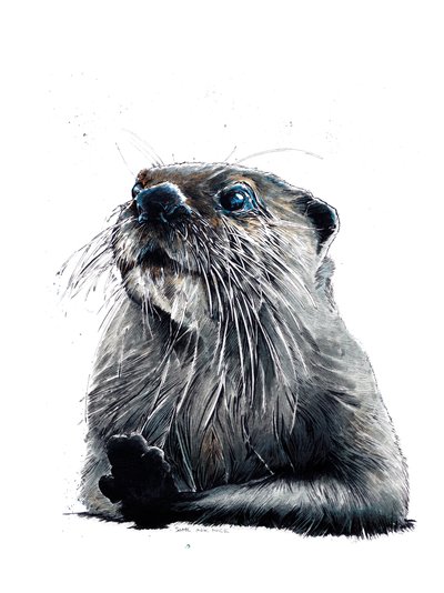 La loutre sur fond blanc, 2020 - Mike Davis