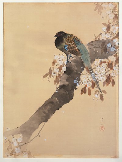 Faisan sur une branche de cerisier en fleurs - Ohara Koson