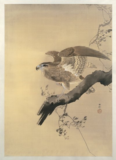 Faucon - Ohara Koson