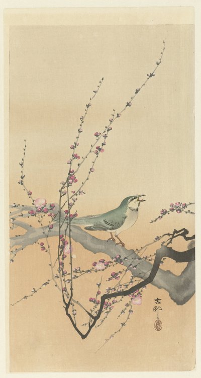 Oiseau chanteur et fleur de prunier - Ohara Koson