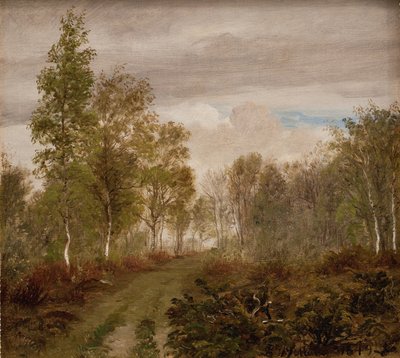 Bouleaux sur Læsø après la pluie - P.C. Skovgaard