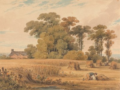 Un champ de blé - Paul Sandby Munn