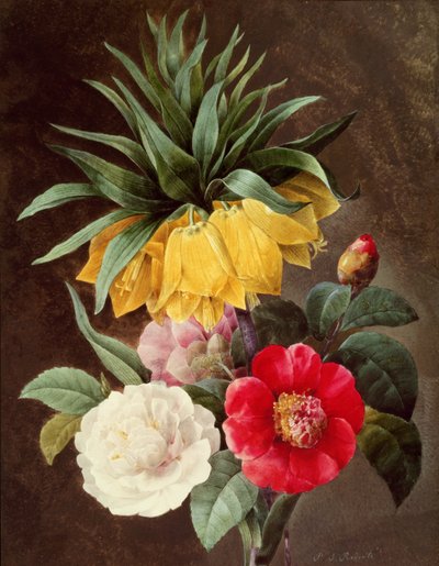 Fleurs exotiques - Pierre Joseph Redouté