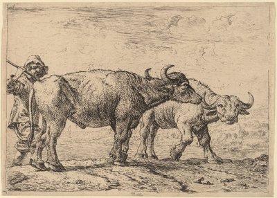 Deux buffles et un berger - Pieter van Laer