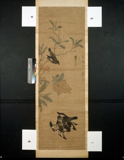 Oiseaux et branche - Qing Dynasty Chinese School