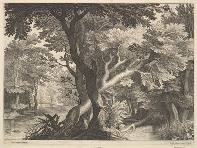 Paysage boisé - Raphael Sadeler