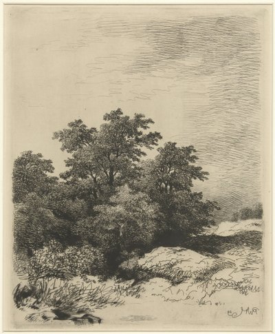 Paysage avec arbres - Remigius Adrianus Haanen