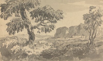 Paysage avec deux arbres et falaise - Rev. William Gilpin