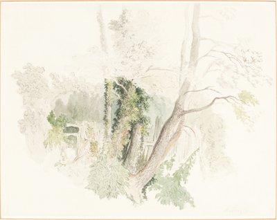 Arbres à Beddington - Robert Hills