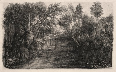 Le ruisseau, 1880 - Rodolphe Bresdin