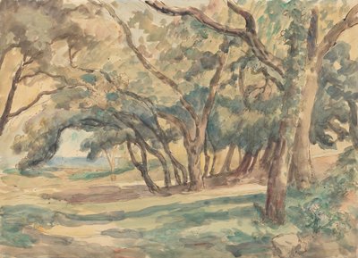 Clairière boisée près de Saint-Tropez - Roger Fry