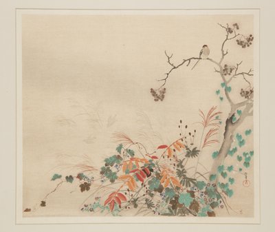 Faucon sur des plantes - Sakai Hoitsu