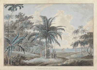 Près de la pointe Eucheconing, Java - Samuel Daniell