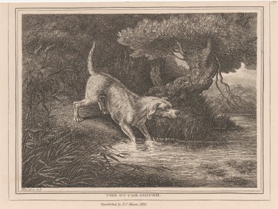 Le chien loutre - Samuel Howitt