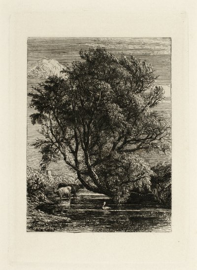 Le Saule - Samuel Palmer