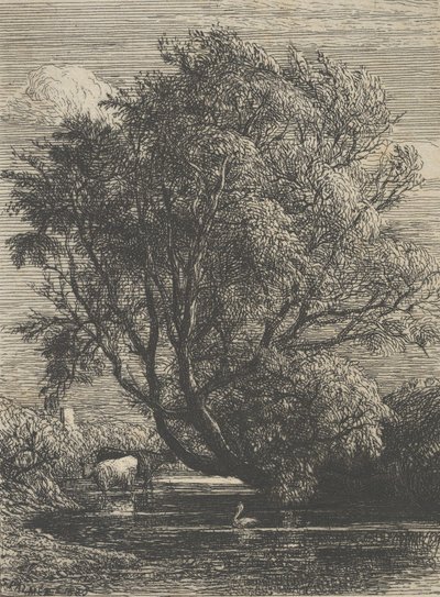 Le Saule, 1850 - Samuel Palmer