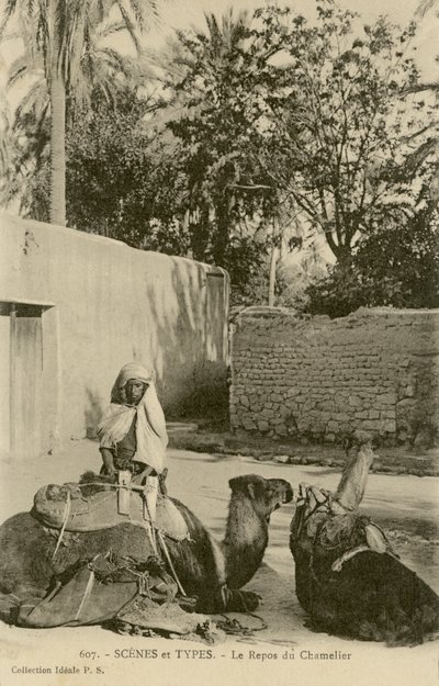 Le Repos du Chamelier, c.1890-1914 (photo n/b) - School French