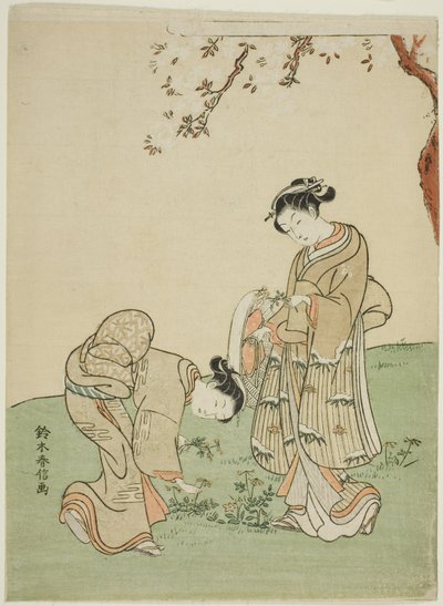 Cueillir des fleurs de printemps - Suzuki Harunobu