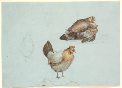 Poules. Étude - Theodor Philipsen