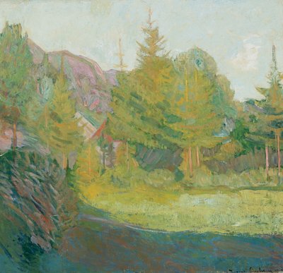 De Rauland à Telemark - Thorvald Erichsen