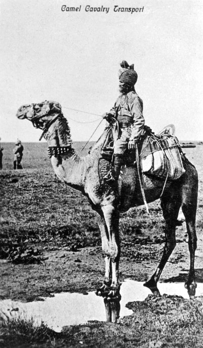 Transport de cavalerie à dos de chameau, Inde, 20ème siècle - Unbekannt