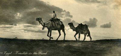 Égypte - Soirée dans le désert, c. 1918-c. 1939 - Unbekannt