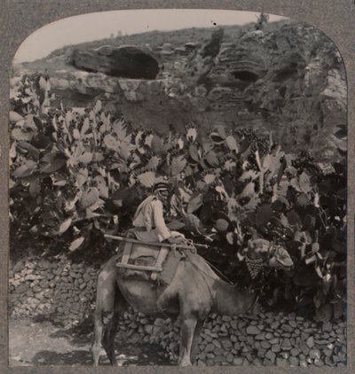 Golgotha, le lieu du crâne, vers 1900 - Unbekannt