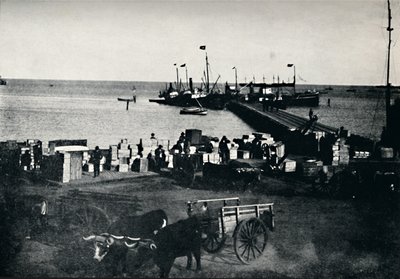 Lieu de débarquement, Punta Arenas, 1911 - Unbekannt