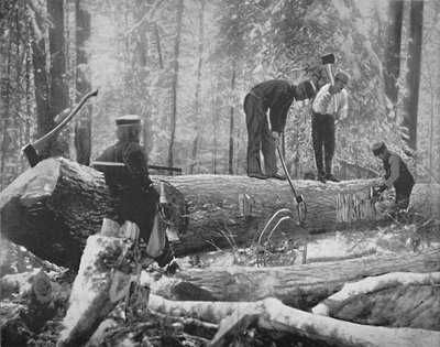 Exploitation forestière sur la rivière Ottawa, Canada, vers 1897 - Unbekannt