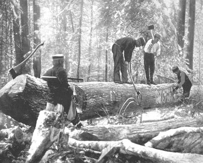 Exploitation forestière sur la rivière Ottawa, Canada, c. 1900 - Unbekannt