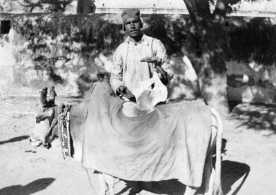 Homme avec une vache déformée, Inde, 1916-1917 - Unbekannt